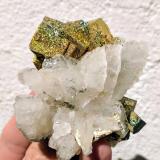 Calcita, Fluorita, PiritaVillabona Mines, Barrio de la Estación, Villabona, Llanera, Comarca del Nora, Principality of Asturias (Asturias), Spain7,0 x 6,5 cm (Autor: Carles)
