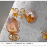 Anatase on Quartz<br />Valleggia Glacier, Valleggia Valley,  Bedretto Valley, Ronco sopra Ascona, Leventina, Ticino (Tessin), Switzerland<br />fov 1.25 mm<br /> (Author: ploum)