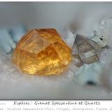 Spessartine and Quartz<br />Wushan Spessartine prospects, Tongbei, Yunxiao, Zhangzhou Prefecture, Fujian Province, China<br />fov 3.6 mm<br /> (Author: ploum)