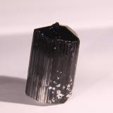 Dravite (Tourmaline Group)<br />Minas Gerais, Brazil<br />22mm x 34mm x 20mm<br /> (Author: Firmo Espinar)