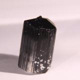 Dravite (Tourmaline Group)Minas Gerais, Brazil22mm x 34mm x 20mm (Author: Firmo Espinar)