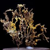 Copper<br />Andrássy I Mine, Rudabányai Mountains, Rudabánya, Borsod-Abaúj-Zemplén, Hungary<br />67 x 62 mm<br /> (Author: Gerhard Brandstetter)