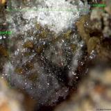 Wulfenita.Mina del Cerro de Guarda Mayor, Rambla de la Monterilla, Benahadux, Comarca Metropolitana de Almería, Almería, Andalucía, España3´501 x 2´876 mm. (Autor: Jesus Franquesa Baucells)