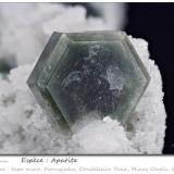 Fluorapatite<br />Sapo Mine, Ferruginha, Conselheiro Pena, Vale do Rio Doce, Minas Gerais, Brazil<br />fov 21 mm<br /> (Author: ploum)