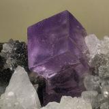 Fluorite<br />Tannberg, Rosenau am Hengstpaß, Dambach valley, Kirchdorf an der Krems, Upper Austria/Oberösterreich, Austria<br />FOV 8 x 5,5 mm<br /> (Author: Gerhard Brandstetter)