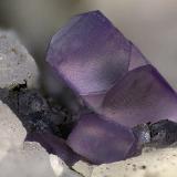 Fluorite<br />Tannberg, Rosenau am Hengstpaß, Dambach valley, Kirchdorf an der Krems, Upper Austria/Oberösterreich, Austria<br />FOV 6 x 4 mm<br /> (Author: Gerhard Brandstetter)