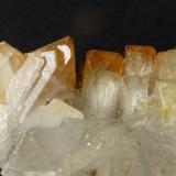 CelestinaConcesión Minerama II, Urbanización Puente Tablas, Jaén ciudad, Jaén, Comarca Metropolitana de Jaén, Andalucía, España10 x 7 cm. (Autor: javier ruiz martin)