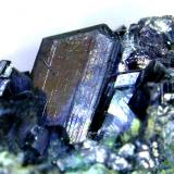 Chalcocita (Calcosina)Mina Las Cruces, Gerena-Guillena-Salteras, Comarca Sierra Norte, Sevilla, Andalucía, EspañaCristal de 7 mm. (Autor: Antonio P. López)