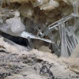 Celestina<br />Yacimiento de Celestinas, Torà, Comarca Solsonès, Lérida / Lleida, Cataluña / Catalunya, España<br />5 x 4 cm (CV)<br /> (Autor: Joan Niella)