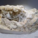 Celestina<br />Yacimiento de Celestinas, Torà, Comarca Solsonès, Lérida / Lleida, Cataluña / Catalunya, España<br />10 x 6 cm<br /> (Autor: Joan Niella)