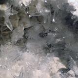 Celestina<br />Yacimiento de Celestinas, Torà, Comarca Solsonès, Lérida / Lleida, Cataluña / Catalunya, España<br />5 x 4 cm (CV)<br /> (Autor: Joan Niella)