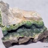 WavellitaPozo De Linde, Dug Hill, Avant, Condado Garland, Arkansas, USA10 x 5 cm (Autor: Joan Niella)