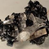 Ilvaite, Quartz<br />Campiglia Marittima, Campigliese, Livorno Province, Toscana, Italy<br />40 x 35 mm<br /> (Author: Sante Celiberti)