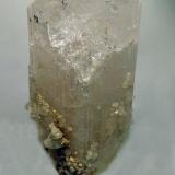 Danburita<br />Mina Aurora, Charcas, Municipio Charcas, San Luis Potosí, México<br />6 x 3 cm<br /> (Autor: Joan Niella)