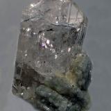 Danburita<br />Mina Aurora, Charcas, Municipio Charcas, San Luis Potosí, México<br />25 x 15 mm<br /> (Autor: Joan Niella)