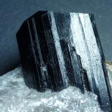 Schorlo (Chorlo), Cuarzo<br />Anjanabonoina, Ambohimanambola, Distrito Betafo, Región Vakinankaratra, Madagascar<br />9 x 8 cm. la pieza, 4 cm. el cristal.<br /> (Autor: javier ruiz martin)