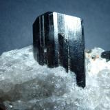 Schorlo (Chorlo), Cuarzo<br />Anjanabonoina, Ambohimanambola, Distrito Betafo, Región Vakinankaratra, Madagascar<br />9 x 8 cm. la pieza, 4 cm. el cristal.<br /> (Autor: javier ruiz martin)