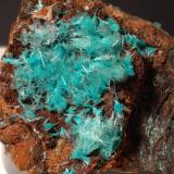 Aurichalcite<br />Campiglia Marittima, Campigliese, Livorno Province, Toscana, Italy<br />65 x 65 mm<br /> (Author: Sante Celiberti)