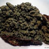 Mottramita<br />Mina Ojuela, Mapimí, Municipio Mapimí, Durango, México<br />9 x 6 cm<br /> (Autor: Joan Niella)