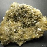 BaritaPrefectura Chenzhou, Provincia Hunan, China13 x 10 cm (Autor: Joan Niella)