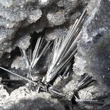 Stibnite<br />Xikuangshan Sb deposit, Lengshuijiang, Loudi Prefecture, Hunan Province, China<br />7,5 x 5,5 cm<br /> (Author: Volkmar Stingl)