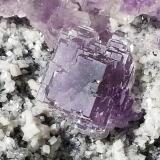 Fluorite, DolomiteShangbao Mine, Leiyang, Hengyang Prefecture, Hunan Province, China12 x 8 cm (Author: Volkmar Stingl)