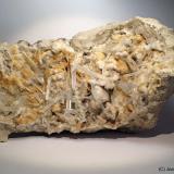 Celestina<br />Yacimiento de Celestinas, Torà, Comarca Solsonès, Lérida / Lleida, Cataluña / Catalunya, España<br />15 x 7 cm<br /> (Autor: Joan Niella)