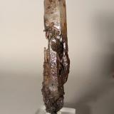 Quartz (variety scepter)<br />Campiglia Marittima, Campigliese, Livorno Province, Toscana, Italy<br />95 x 21 mm<br /> (Author: Sante Celiberti)