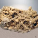 Celestina<br />Yacimiento de Celestinas, Torà, Comarca Solsonès, Lérida / Lleida, Cataluña / Catalunya, España<br />5 x 6 cm<br /> (Autor: Joan Niella)