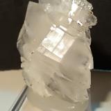 Quartz (variety faden)<br />La Selva Mine, Casal di Pari, Civitella-Paganico, Grosseto Province, Tuscany, Italy<br />50 x 39 mm<br /> (Author: Sante Celiberti)