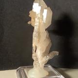 Quartz (variety scepter)<br />Campiglia Marittima, Campigliese, Livorno Province, Toscana, Italy<br />65 x 23 mm<br /> (Author: Sante Celiberti)