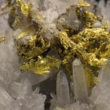 Gold<br />Banská tiavnica (Schemnitz), Banská tiavnica District, Banská Bystrica Region, Slovak Republic<br />FOV 15 x 12 mm<br /> (Author: Gerhard Brandstetter)