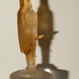 Quartz (variety scepter)<br />Fenice Capanne Mine, Massa Marittima, Grosseto Province, Tuscany, Italy<br />50 x 15 mm<br /> (Author: Sante Celiberti)