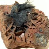 Boulangerite, Siderite<br />Bottino Mine, Sant'Anna (Sant'Anna di Stazzema), Apuan Alps, Stazzema Municipality, Lucca Province, Tuscany, Italy<br />11 x 9 cm<br /> (Author: Sante Celiberti)