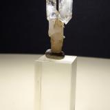 Quartz (variety scepter)<br />Fenice Capanne Mine, Massa Marittima, Grosseto Province, Tuscany, Italy<br />31 x 12 mm<br /> (Author: Sante Celiberti)