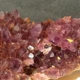 Quartz (variety amethyst)<br />Vetulonia, Castiglione della Pescaia, Grosseto Province, Tuscany, Italy<br />16,5 x 4 cm<br /> (Author: Sante Celiberti)