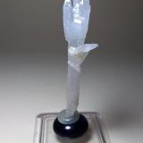 Quartz (variety scepter)<br />Fenice Capanne Mine, Massa Marittima, Grosseto Province, Tuscany, Italy<br />62 x 16 mm<br /> (Author: Sante Celiberti)