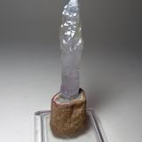 Quartz (variety scepter)<br />Fenice Capanne Mine, Massa Marittima, Grosseto Province, Tuscany, Italy<br />51 x 12 mm<br /> (Author: Sante Celiberti)