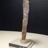 Quartz (variety scepter)<br />Fenice Capanne Mine, Massa Marittima, Grosseto Province, Tuscany, Italy<br />72 x 12 mm<br /> (Author: Sante Celiberti)