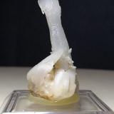 Quartz (variety scepter)<br />Pereta Mine, Pereta, Magliano in Toscana, Grosseto Province, Toscana, Italy<br />40 x 18 mm<br /> (Author: Sante Celiberti)