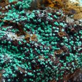 Malaquita, AlofanaCala Mines, Cala, Comarca Sierra de Huelva, Huelva, Andalusia, Spain3,5 x 3 cm. (Autor: javier ruiz martin)