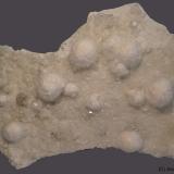Okenita<br />Canteras Wagholi, Wagholi, Distrito Pune (Distrito Poonah), Maharashtra, India<br />17 x 12 cm<br /> (Autor: Joan Niella)