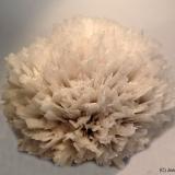 Escolecita<br />Distrito Jalgaon, Maharashtra, India<br />10 x 8 cm<br /> (Autor: Joan Niella)