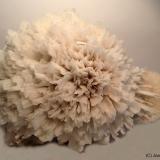 Escolecita<br />Distrito Jalgaon, Maharashtra, India<br />11 x 7 cm<br /> (Autor: Joan Niella)