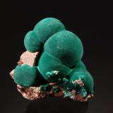 MalachiteMina Morenci, Northwest Extension, Morenci, Distrito Copper Mountain, Montes Shannon, Condado Greenlee, Arizona, USA4.1 cm x 4.2 cm (Author: Michael Shaw)