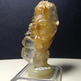 Quartz (variety faden)<br />Leoni Mountain, Sticciano, Roccastrada, Grosseto Province, Tuscany, Italy<br />62 x 30 mm<br /> (Author: Sante Celiberti)