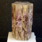 AragonitoLa Pesquera, Comarca La Manchuela Conquense, Cuenca, Castilla-La Mancha, España5.5 x 3 cm (Autor: Pedro Antonio)