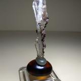 Quartz (variety faden), Siderite<br />Leoni Mountain, Sticciano, Roccastrada, Grosseto Province, Tuscany, Italy<br />51 x 12 mm<br /> (Author: Sante Celiberti)