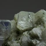 Fluorita<br />Mina Nikolaevski, Dalnegorsk, Distrito urbano Dalnegorsk, Primorsky Krai, Far-Eastern Region, Rusia<br />40x30 mm<br /> (Autor: Ramon A  Lopez Garcia)