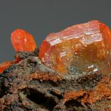 Wulfenita<br />Sierra de Los Lamentos, Municipio Ahumada, Chihuahua, México<br />cristal mayor 28x22 mm<br /> (Autor: Ramon A  Lopez Garcia)